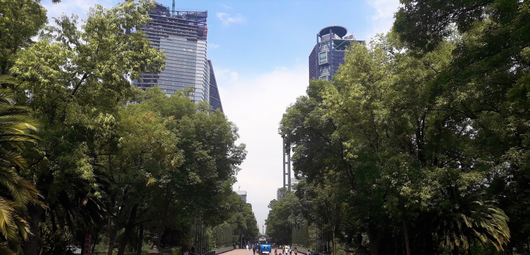 Vista a la Torre Bancomer desde el bosque de Chapultepec