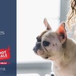 Promociones de Bancomer en el Hot Sale 2018