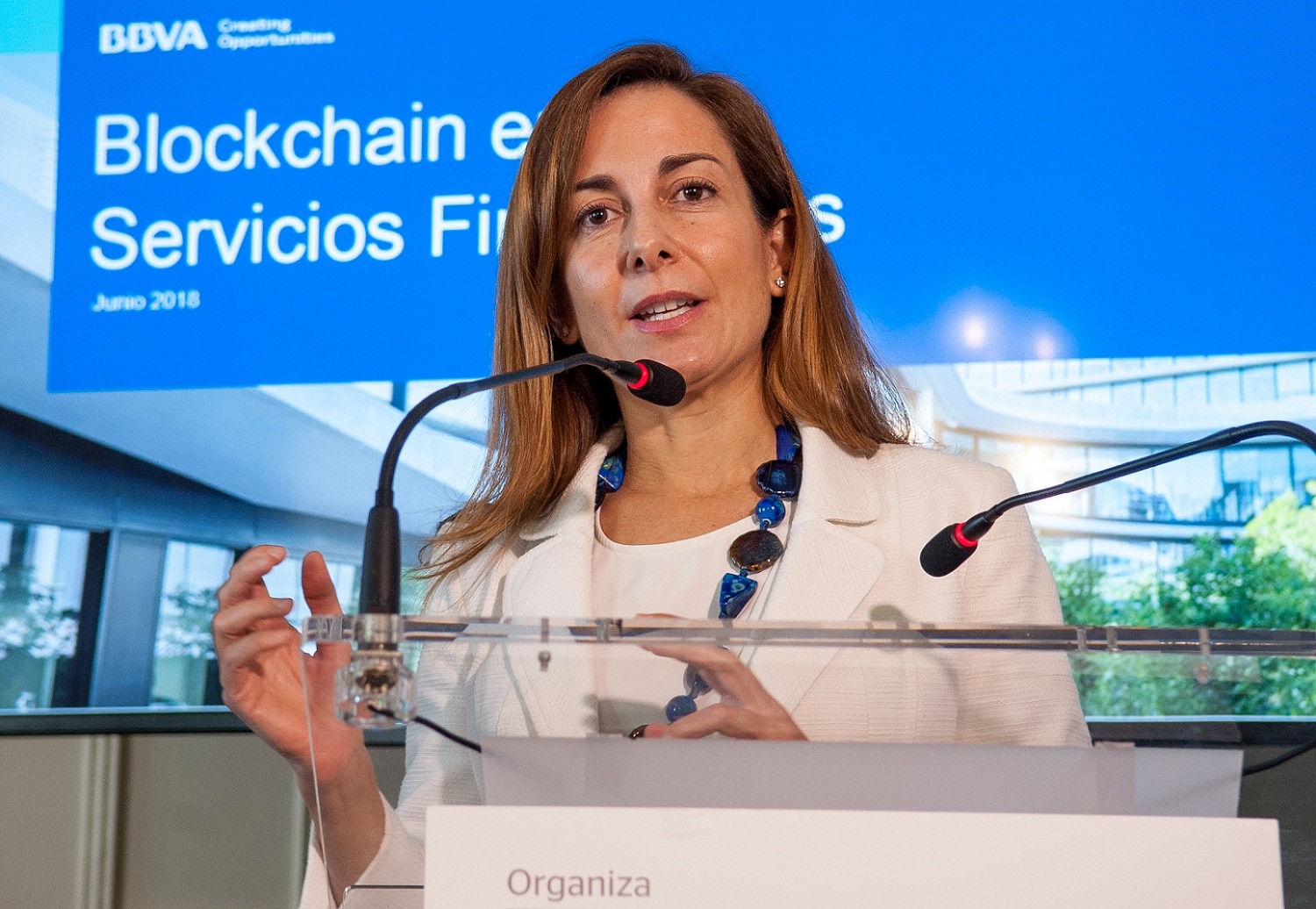 Alicia Pertusa APIE 2018 BBVA Alicia Pertusa APIE 2018 BBVA