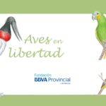 Aves en libertad, Fundación BBVA Provincial