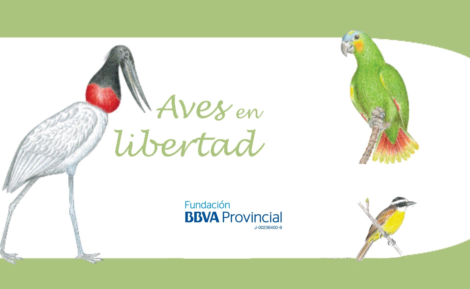 Aves en libertad, Fundación BBVA Provincial Aves en libertad, Fundación BBVA Provincial
