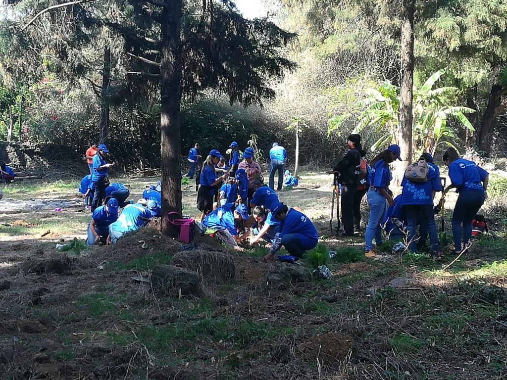 Reforestación Voluntarios BBVA México - Cuernavaca