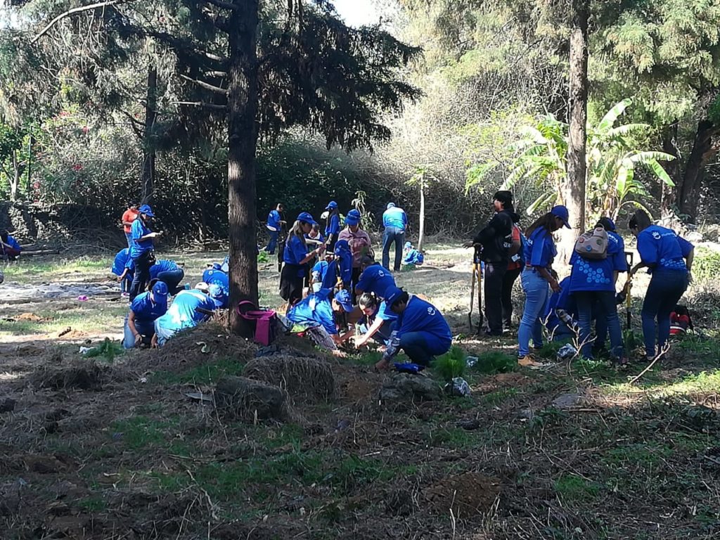 Reforestación Voluntarios BBVA México - Cuernavaca Reforestación Voluntarios BBVA México - Cuernavaca