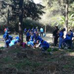 Reforestación Voluntarios BBVA México - Cuernavaca