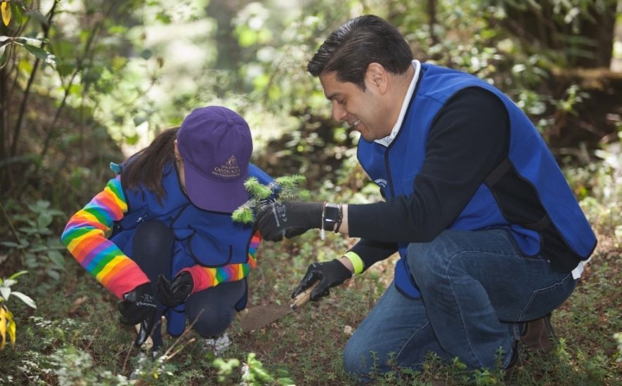 Reforestación Desierto de los Leones de BBVA Bancomer Reforestación Desierto de los Leones de BBVA Bancomer