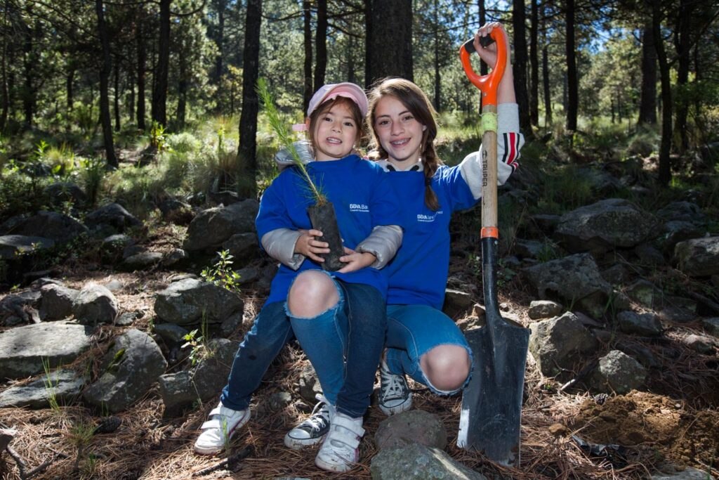 Reforestacion Bosque BBVA Bancomer Reforestacion Bosque BBVA Bancomer