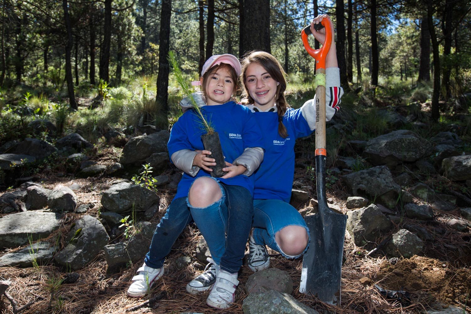 Reforestacion Bosque BBVA Bancomer Reforestacion Bosque BBVA Bancomer