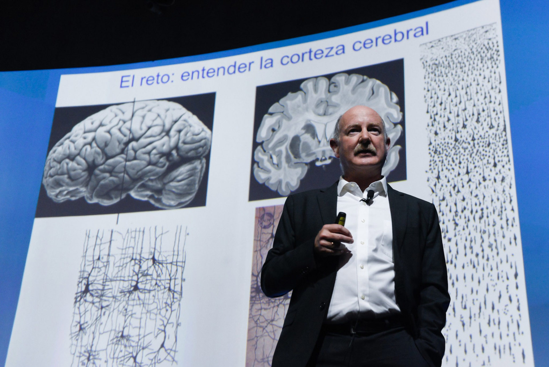 Rafael Yuste, catedrático de la Universidad de Columbia, durante el BBVA Values Day