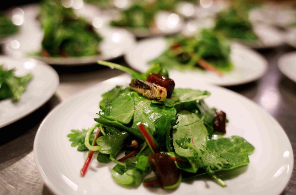 comida ecologica plato recurso bbva comida ecologica plato recurso bbva