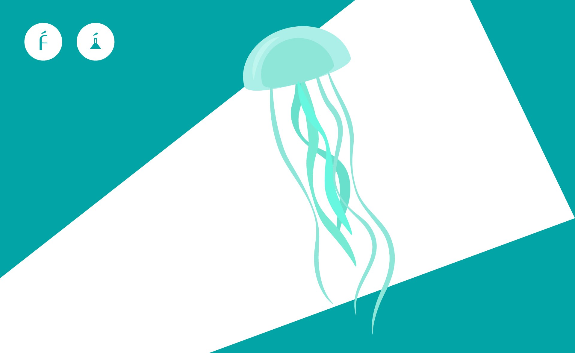 Fundeu-Medusa-BBVA Fundeu-Medusa-BBVA