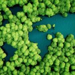 responsable bonos verdes sostenibilidad recurso bbva