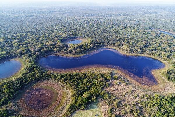 Reserva Mbaracayu-Paraguay-Sostenibilidad-Biodiversidad-Premios-Fundación Moisés Bertoni-Fundación BBVA Reserva Mbaracayu-Paraguay-Sostenibilidad-Biodiversidad-Premios-Fundación Moisés Bertoni-Fundación BBVA