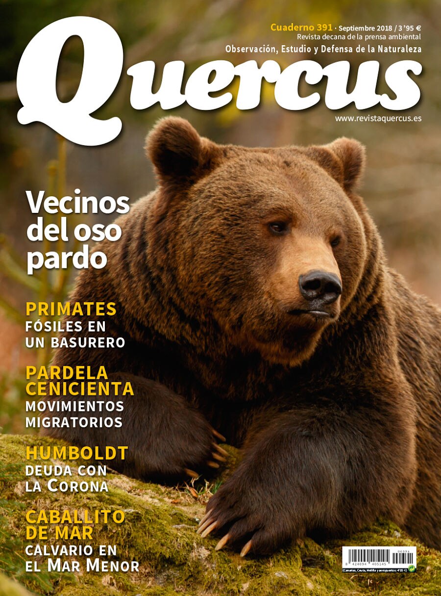 Revista Quercus-Naturaleza-España-Periodismo-Fundación BBVA-Premios Revista Quercus-Naturaleza-España-Periodismo-Fundación BBVA-Premios