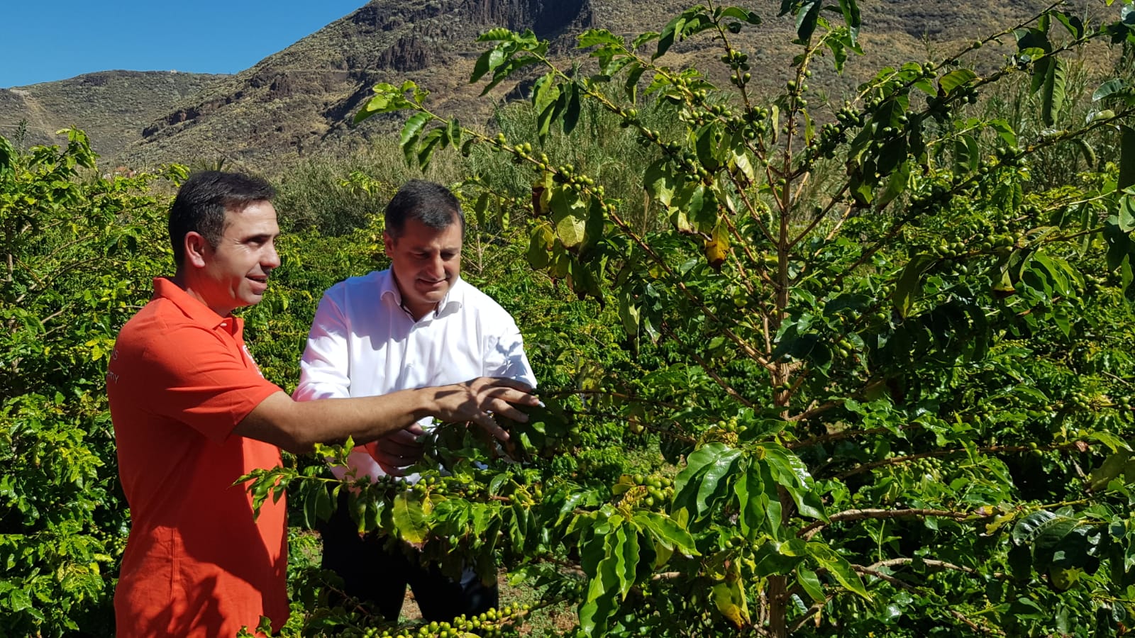 Josep Roca - BBVA-El Celler de Can Roca-Gran Canaria Josep Roca - BBVA-El Celler de Can Roca-Gran Canaria