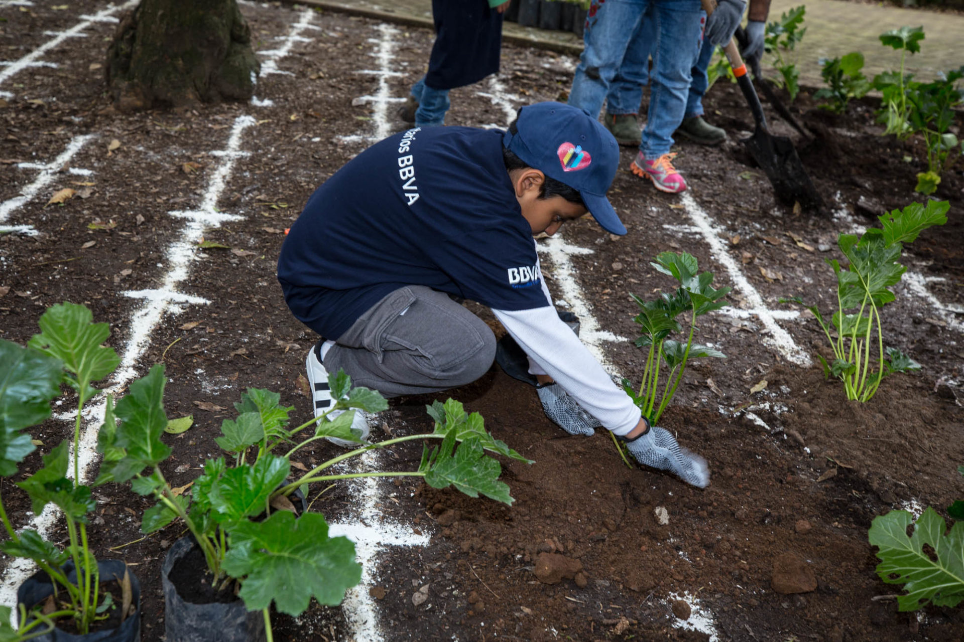 Semana del voluntariado BBVA Bancomer