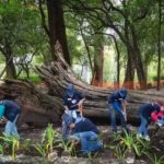 Semana del voluntariado BBVA Bancomer