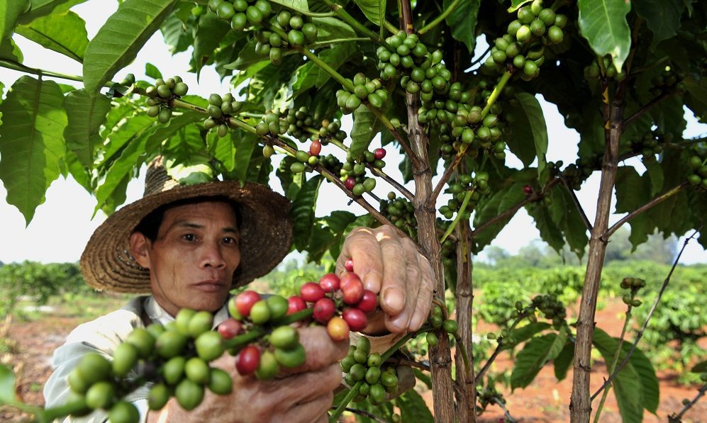 EFE blockchain impacto inclusion financiera ethichub pequeños agricultores cafe prestamos recurso bbva
