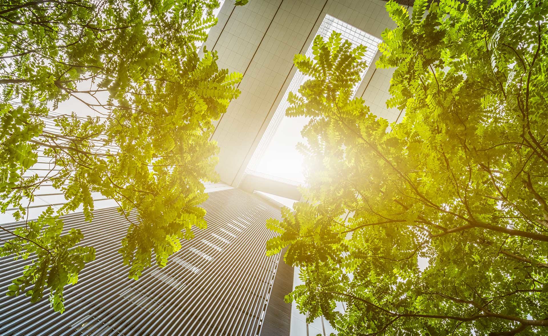 Impacto ciudades cambio climático BBVA