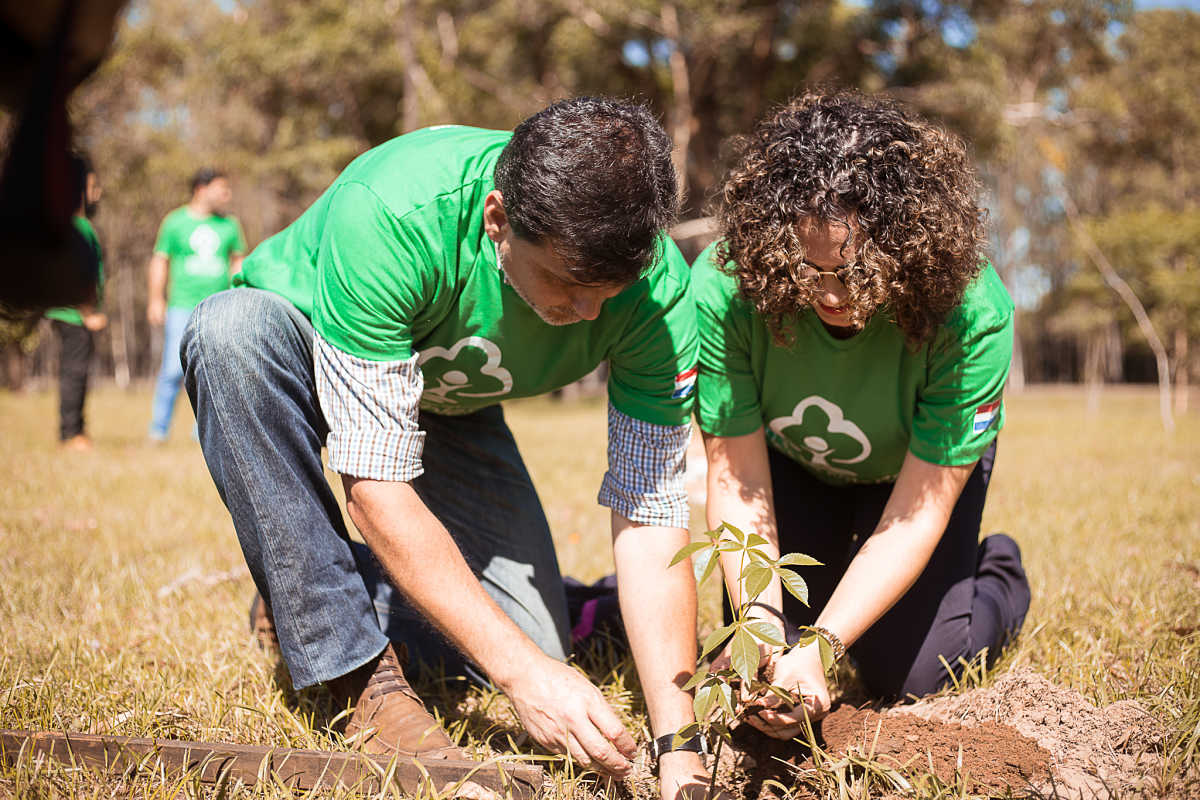 Jornada de Arborización