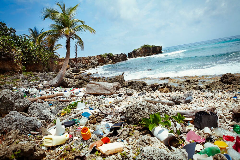 playa-vertedero-cambio-climatico-basura-sostenibilidad-bbva playa-vertedero-cambio-climatico-basura-sostenibilidad-bbva