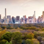 Fotografía de Ciudad, sostenible, verde, bosque, edificios, gris, centro financiero, árbol, medio ambiente