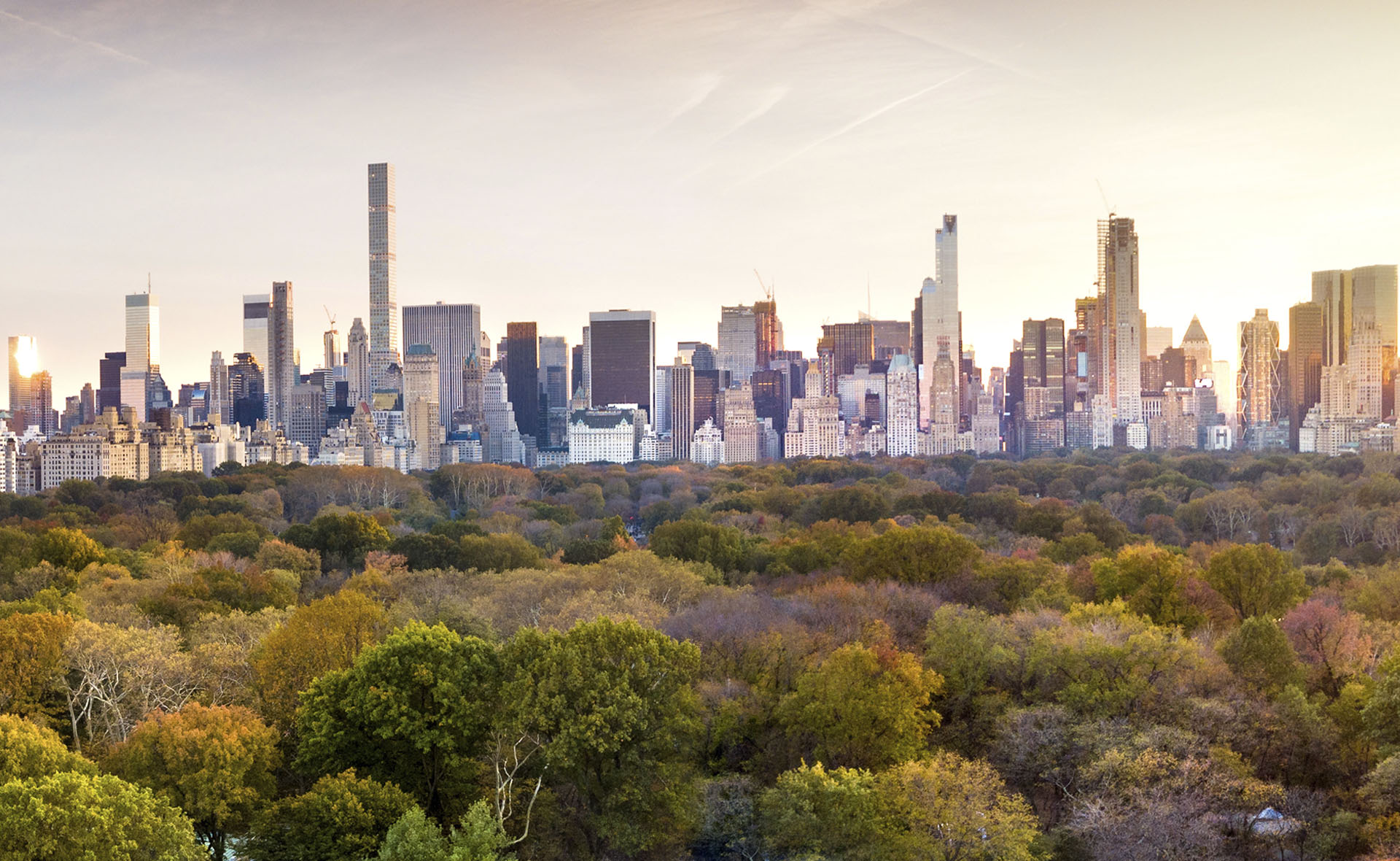 Ciudad, sostenible, verde, bosque, edificios, gris, centro financiero, árbol, medio ambiente Fotografía de Ciudad, sostenible, verde, bosque, edificios, gris, centro financiero, árbol, medio ambiente