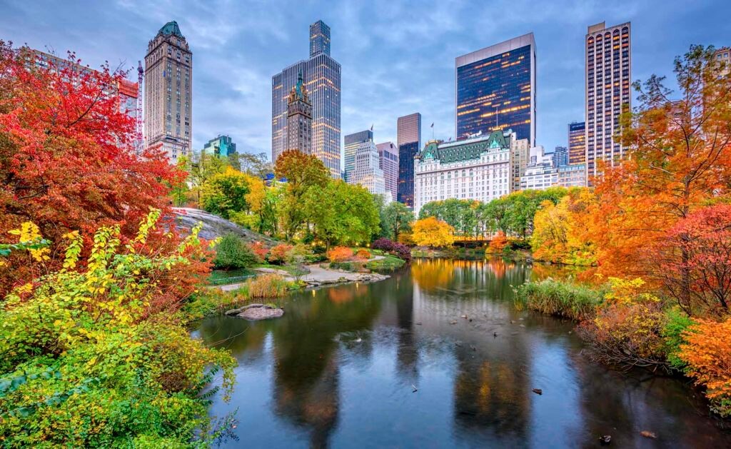 Ciudad, bosque, árboles, otoño, NY, edificios, agua, lago Fotografía de Ciudad, bosque, árboles, otoño, NY, edificios, agua, lago