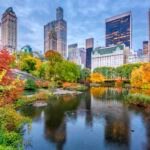 Fotografía de Ciudad, bosque, árboles, otoño, NY, edificios, agua, lago