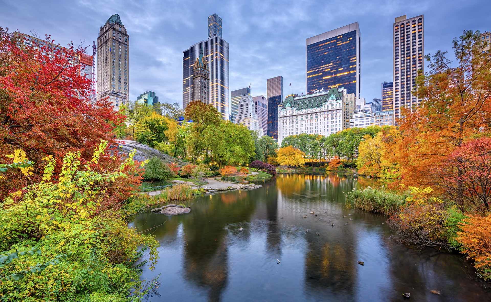 Fotografía de Ciudad, bosque, árboles, otoño, NY, edificios, agua, lago