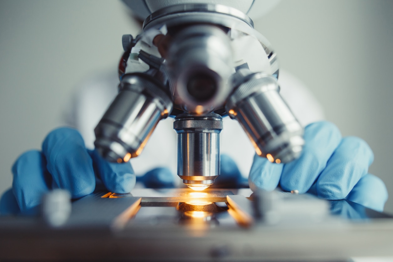 investigacion biologia experimento laboratorio bbva recurso
