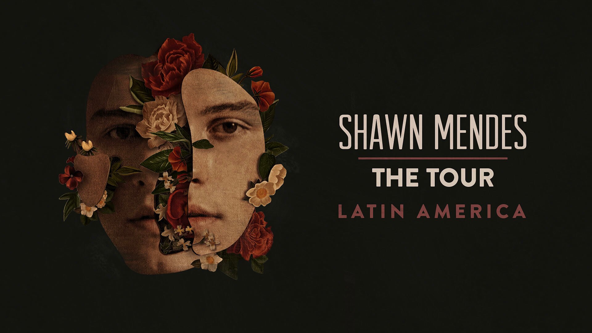 Shawn Mendes