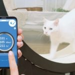 The Little Cat (Pet Ding) - CES 2019 - BBVA The Little Cat (Pet Ding) - CES 2019 - BBVA