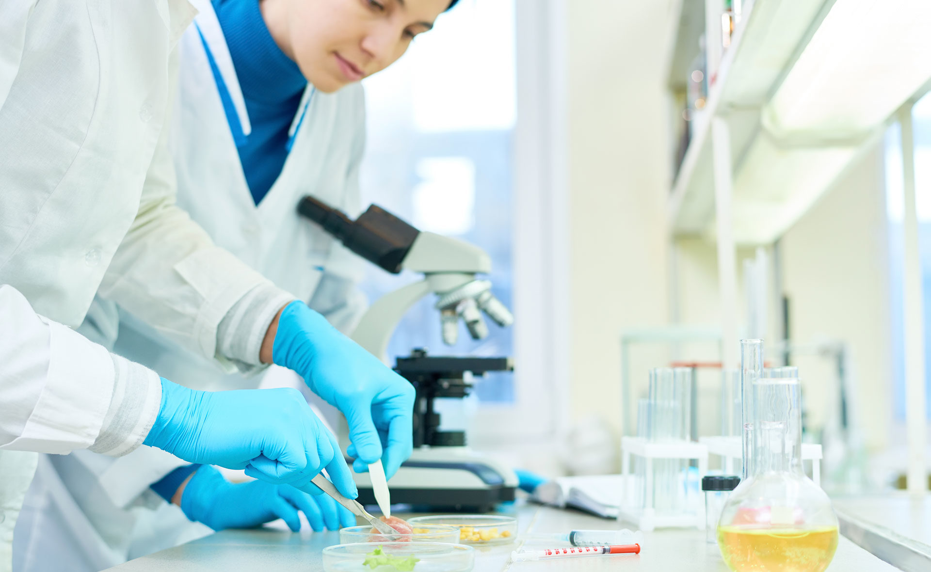Fotografía de Control de calidad, laboratorio, alimentos, calidad, probetas, comida, microscopio, ciencia