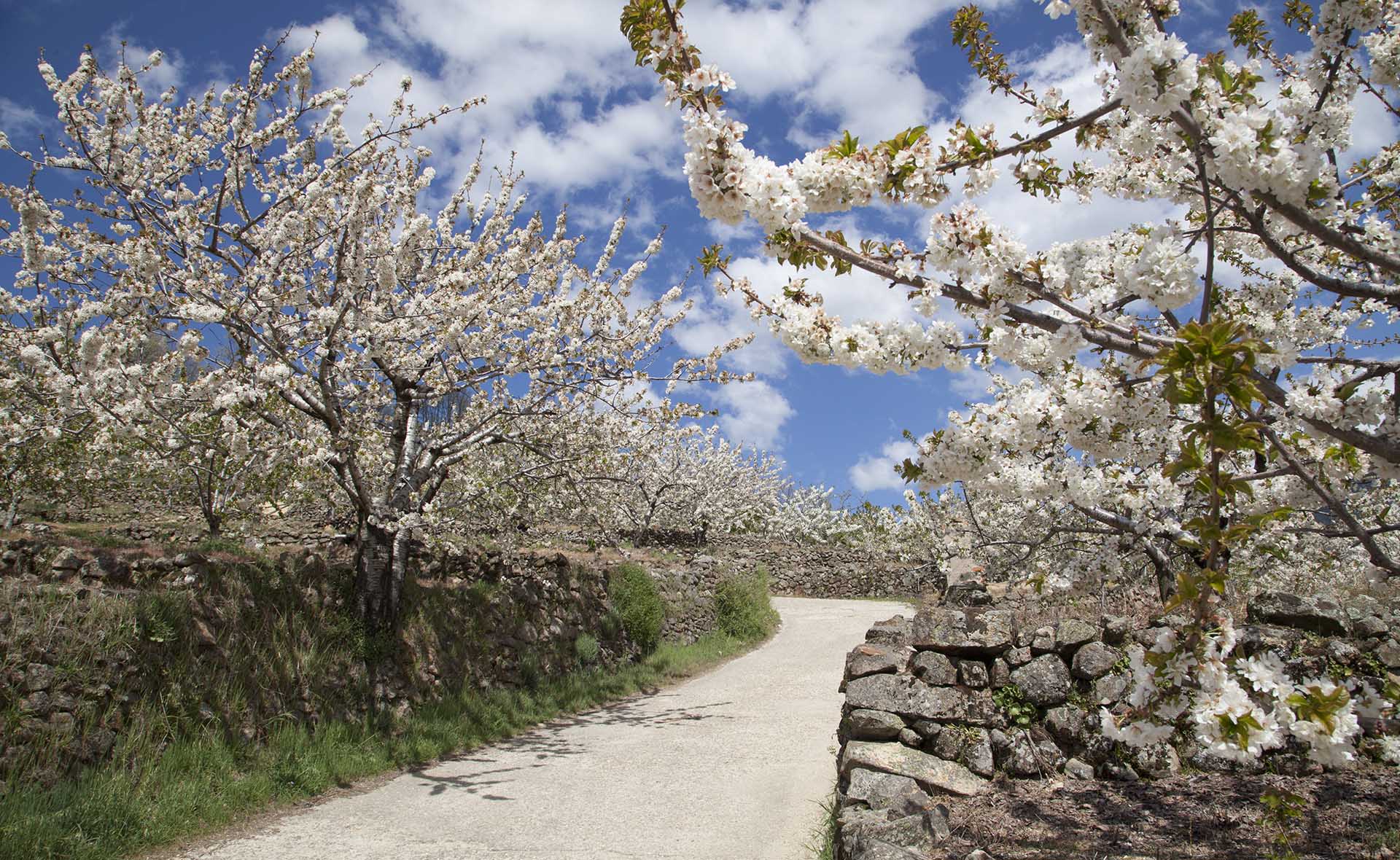 BBVA-Extremadura-1103