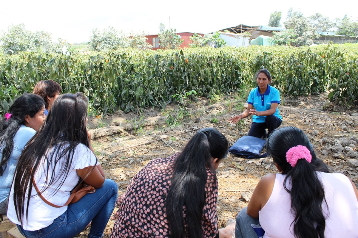 ¿Cómo los microcréditos empoderan a las mujeres en situación de vulnerabilidad? ¿Cómo los microcréditos empoderan a las mujeres en situación de vulnerabilidad?