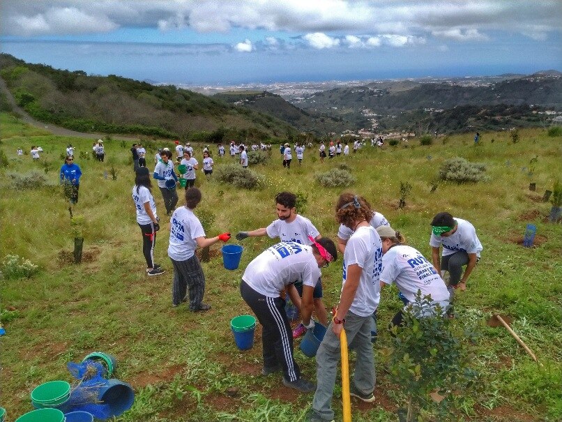 Gran Final Blue BBVA Ruta Siete Gran Final Blue BBVA Ruta Siete