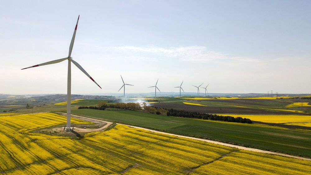 Parque eólico que muestra varios molinos de viento produciendo energía limpia