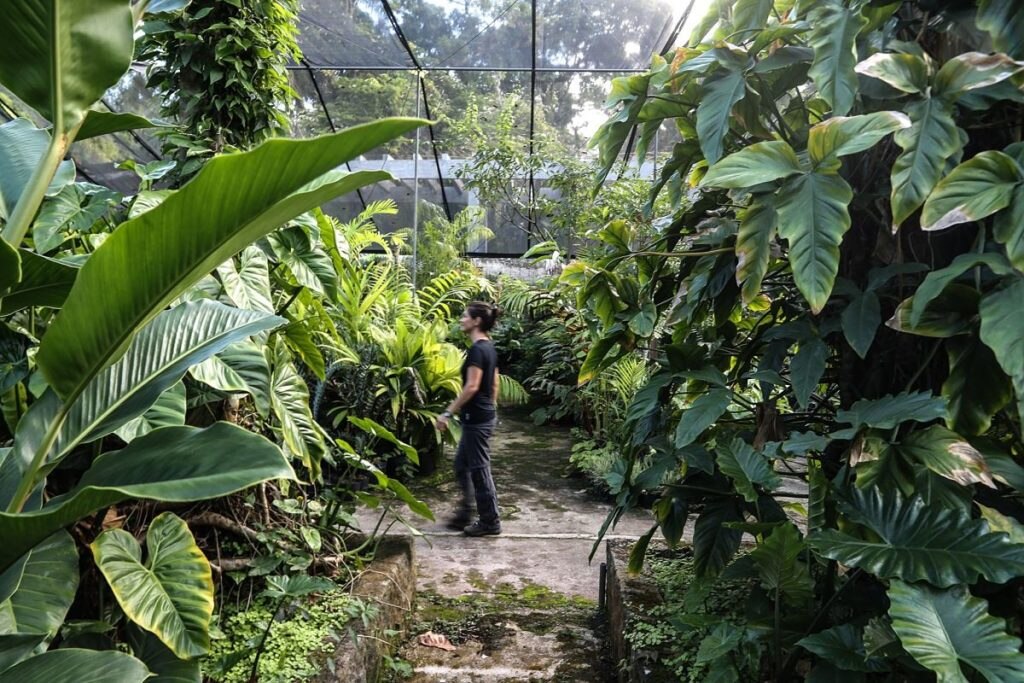 plantas_ecologico_-responsable_banca_-sostenible_verde_sostenibilidad_-ods_bbva_recurso plantas_ecologico_-responsable_banca_-sostenible_verde_sostenibilidad_-ods_bbva_recurso