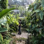 plantas_ecologico_-responsable_banca_-sostenible_verde_sostenibilidad_-ods_bbva_recurso plantas_ecologico_-responsable_banca_-sostenible_verde_sostenibilidad_-ods_bbva_recurso