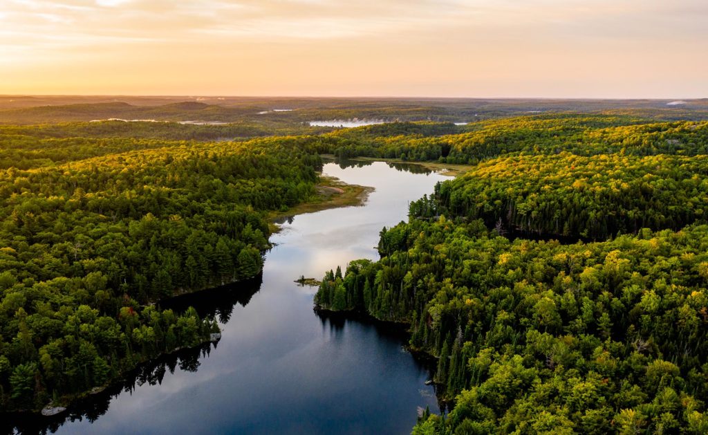 Dia Mundial Del Medio Ambiente Como Reducir Las Emisiones Con