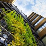 Fotografía de Activos inmobiliarios, edificio, sostenibilidad, plantas, vegetación, verde, ventanas