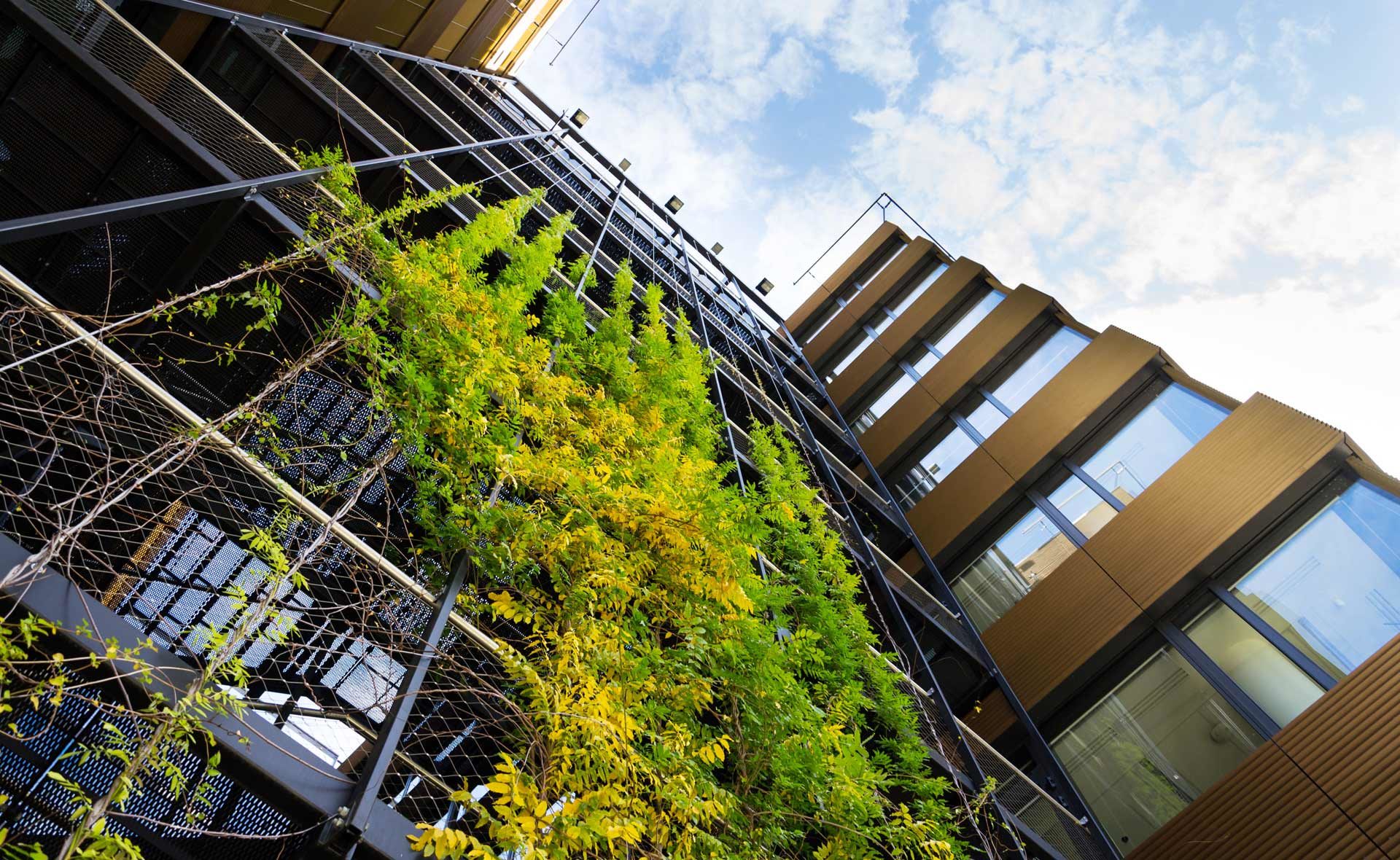 Fotografía de Activos inmobiliarios, edificio, sostenibilidad, plantas, vegetación, verde, ventanas