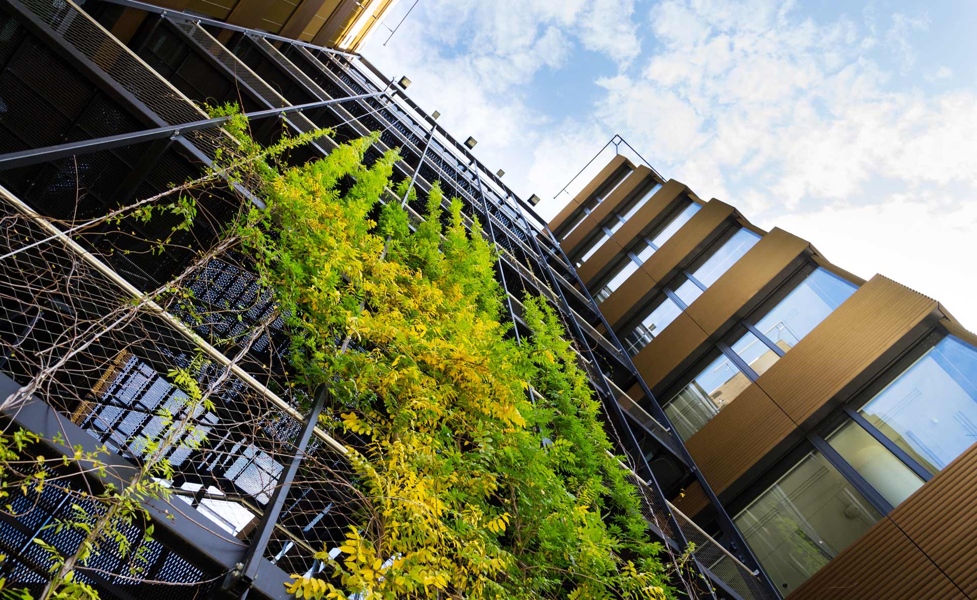 Activos inmobiliarios, edificio, sostenibilidad, plantas, vegetación, verde, ventanas Fotografía de Activos inmobiliarios, edificio, sostenibilidad, plantas, vegetación, verde, ventanas