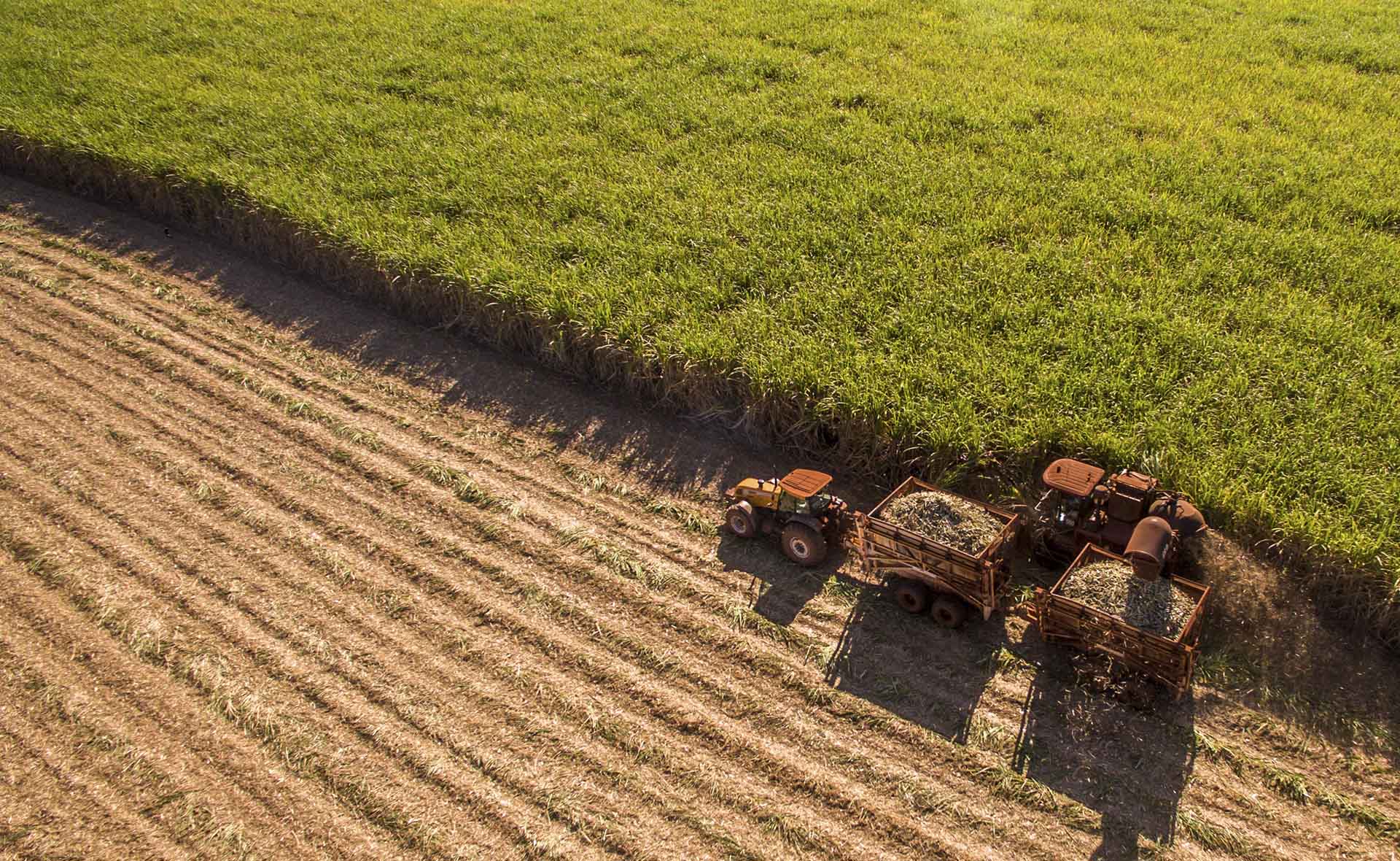 Agricultura_Recurso_BBVA Agricultura_Recurso_BBVA