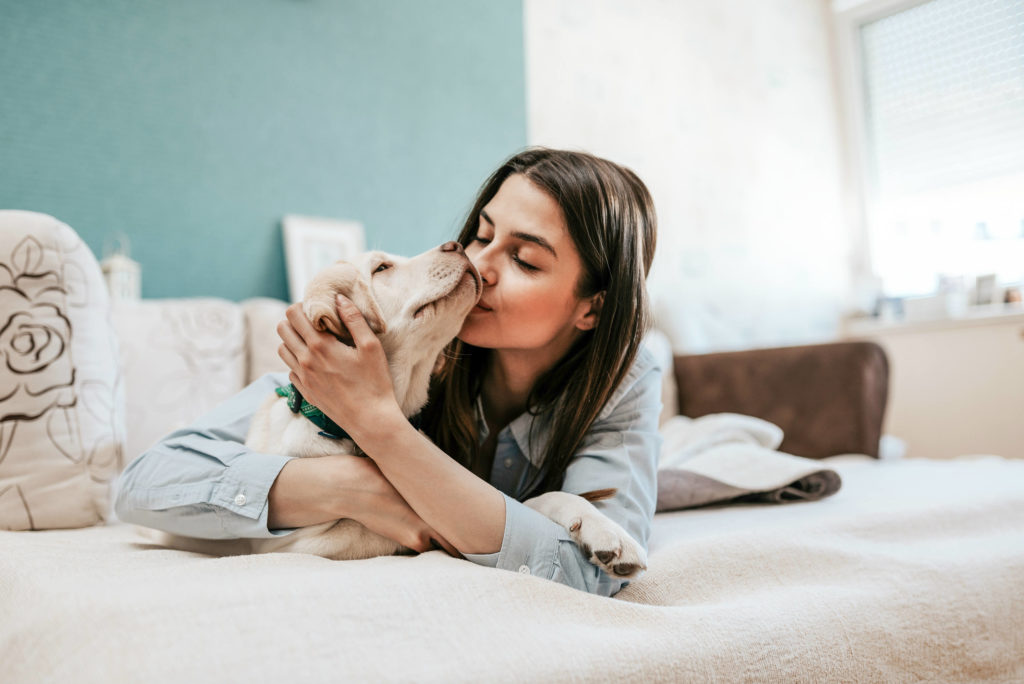 ¿El alimento más caro es el ideal para una mascota? ¿El alimento más caro es el ideal para una mascota?