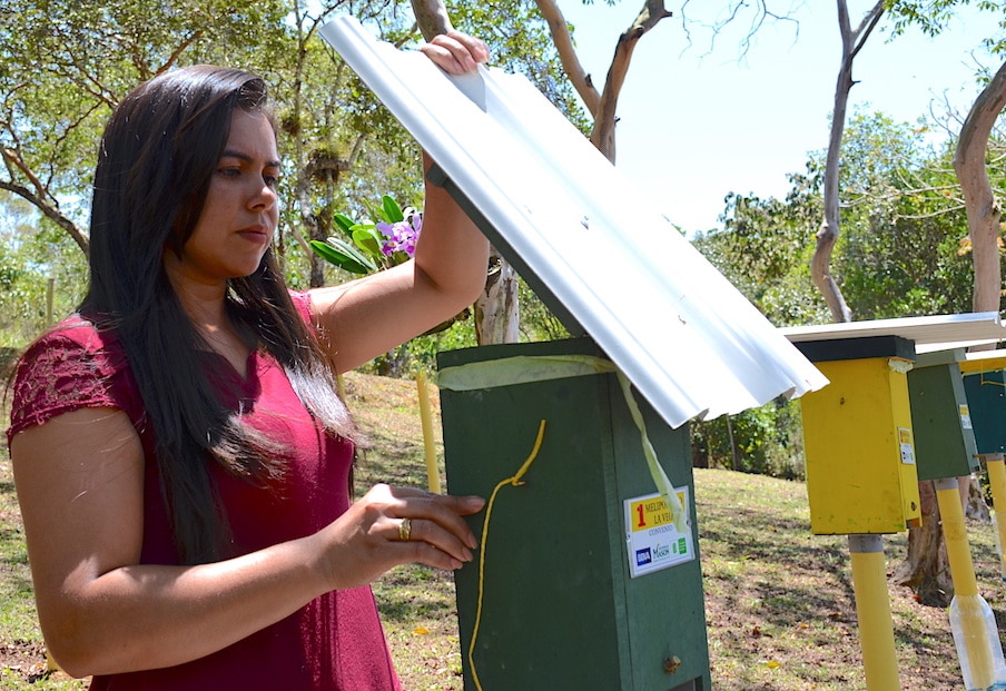 Colmenas tecnificadas y atendidas por mujeres en la vereda Alto de Reinas, en Socorro, Santander. Colmenas tecnificadas y atendidas por mujeres en la vereda Alto de Reinas, en Socorro, Santander.