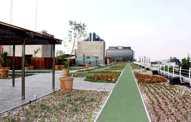 Cuatro proyectos de arquitectura sustentable en México Cuatro proyectos de arquitectura sustentable en México