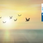 ODS16_BBVA_promueve_una_sociedad_justa_pacífica_e_inclusiva_en_Argentina