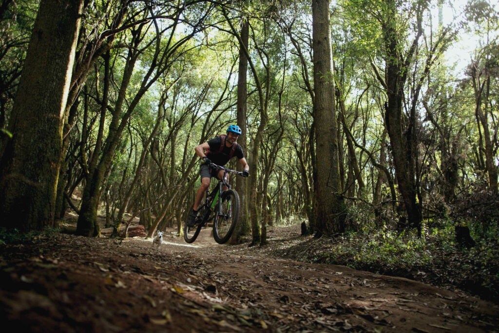 Cicloturismo en México, una experiencia imperdible Cicloturismo en México, una experiencia imperdible