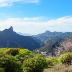 gran_canaria_incendio_recurso_bbva gran_canaria_incendio_recurso_bbva